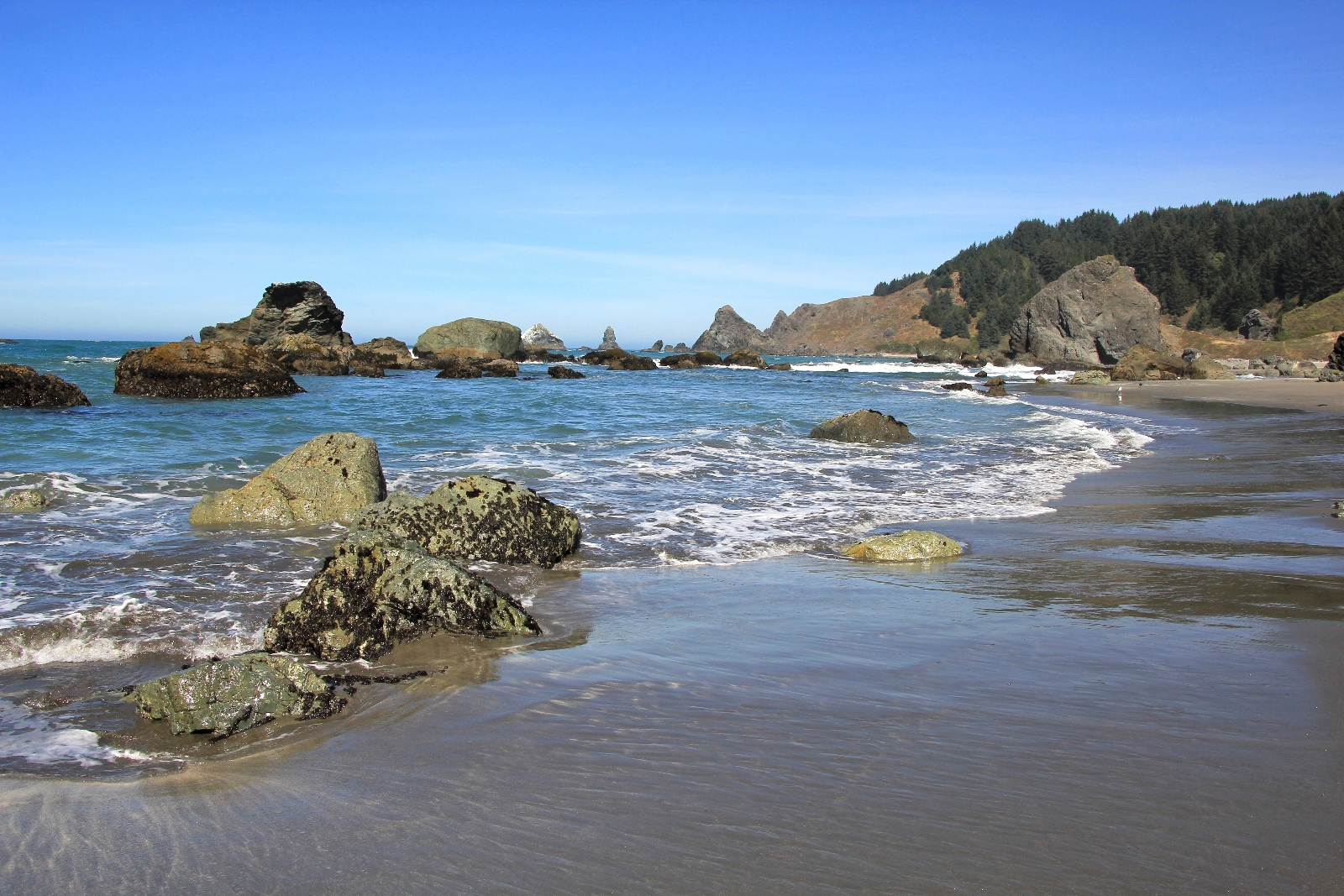 Oregon Coast: Boardman State Scenic Corridor (South), Sept 2016 – Evans ...