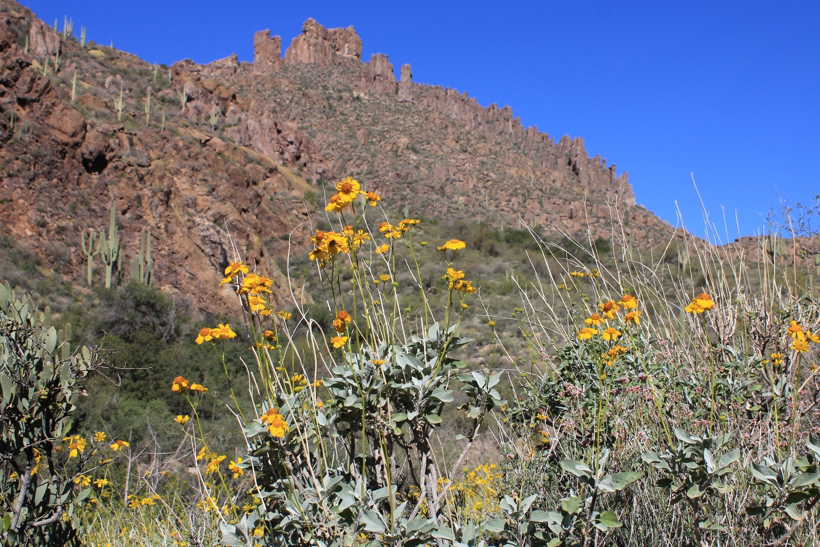 Peralta Trail, Superstition Wilderness, Arizona – Evans Outdoor Adventures