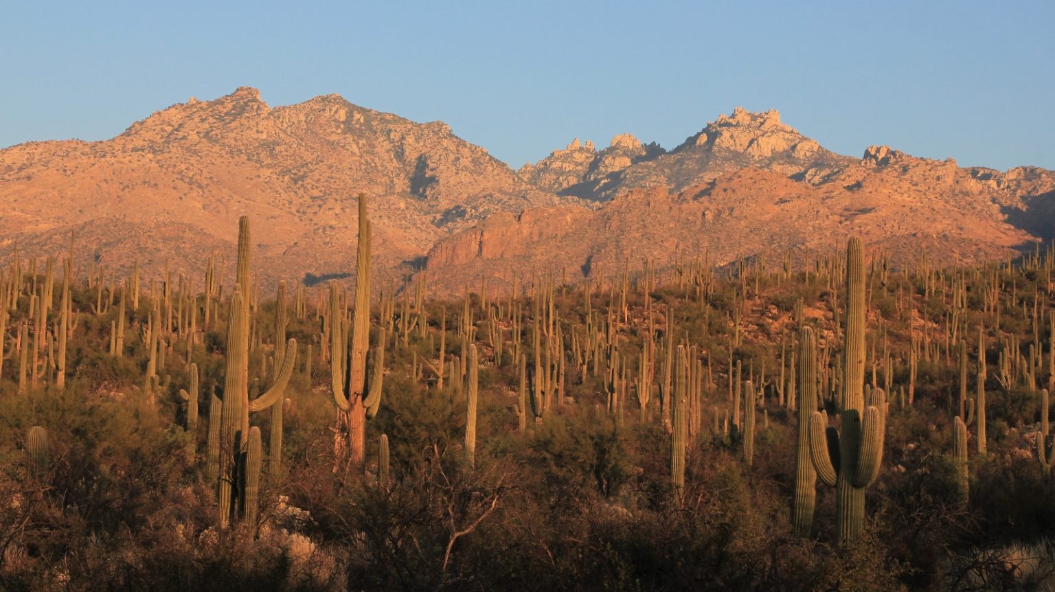 Tucsons Stunning Sabino Canyon Recreation Area Evans Outdoor Adventures 8228