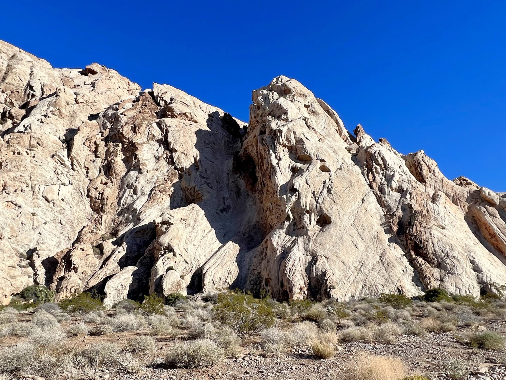 Exploring Whitney Pocket, Gold Butte National Monument – Evans Outdoor ...